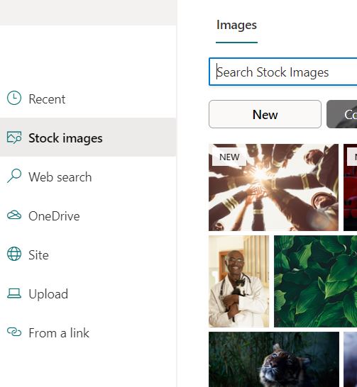 SharePoint Images